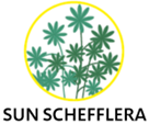SunSchefflera